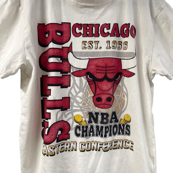 Chicago Bulls Graphic Tee Hollister Men’s Small NBA - Picture 2 of 6
